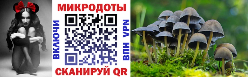 Купить  Электрогорск  Псилоцибиновые грибы ЛСД 